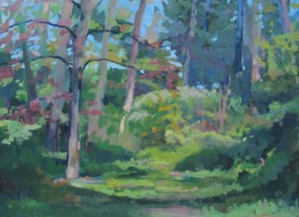 Spring Woodland Path
