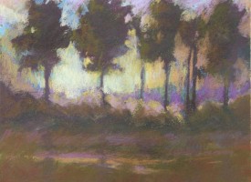 AfterStorm, the Trees Across the Bay