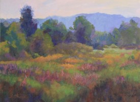 Summer Field