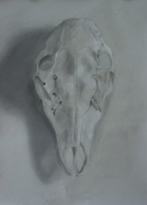 drawing by Julia Silvestri, charcoal on paper, age 15