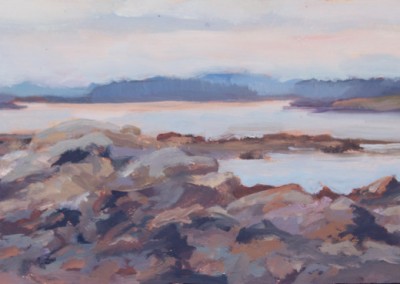 Maine Rocks