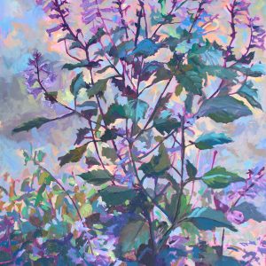 Plectranthus - Velvet Elvis, oil on canvas