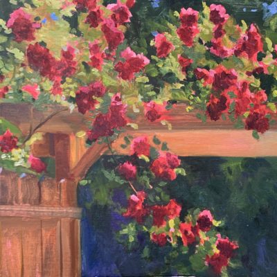 Climbing Roses